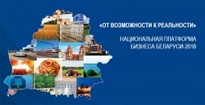 Национальная платформа бизнеса Беларуси 2018
